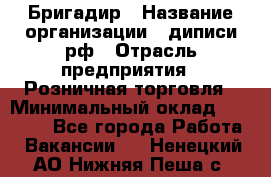 Бригадир › Название организации ­ диписи.рф › Отрасль предприятия ­ Розничная торговля › Минимальный оклад ­ 35 000 - Все города Работа » Вакансии   . Ненецкий АО,Нижняя Пеша с.